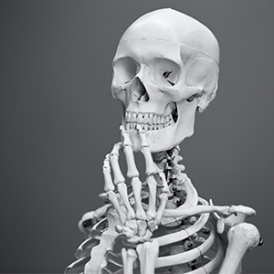 skeleton image